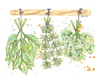 3 Hand-illustrated herb bunches